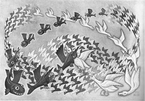 M. C. Escher: Entrelace de peixes e pássaros