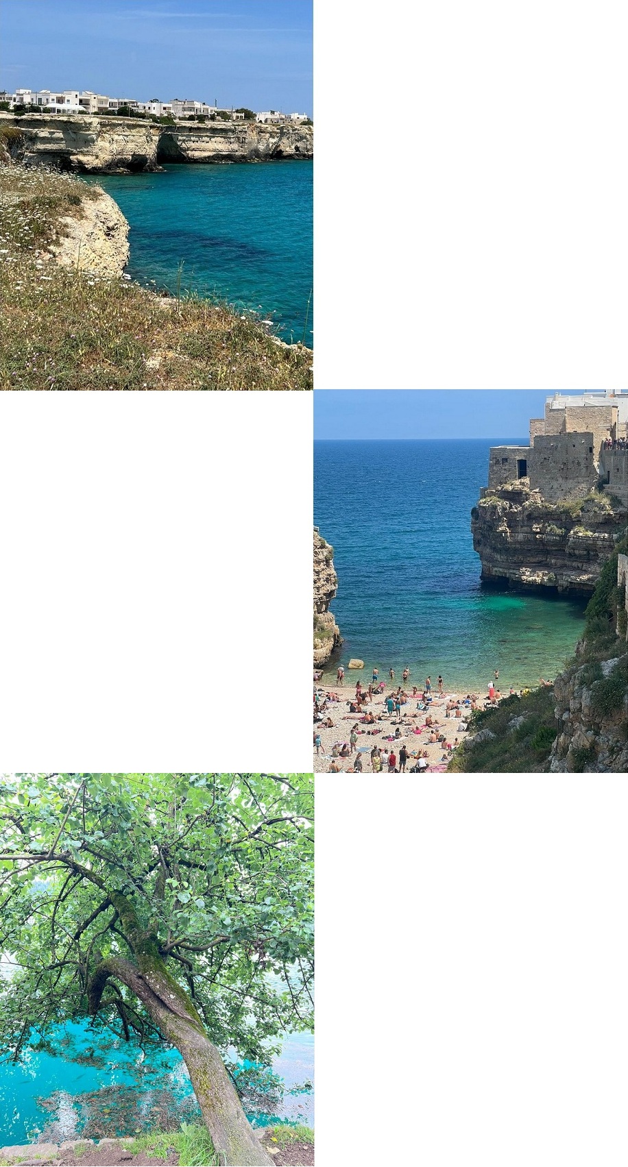 Fernanda Fonseca: Lecce – Puglia, Polignano a Mare e Árvore sobre rio