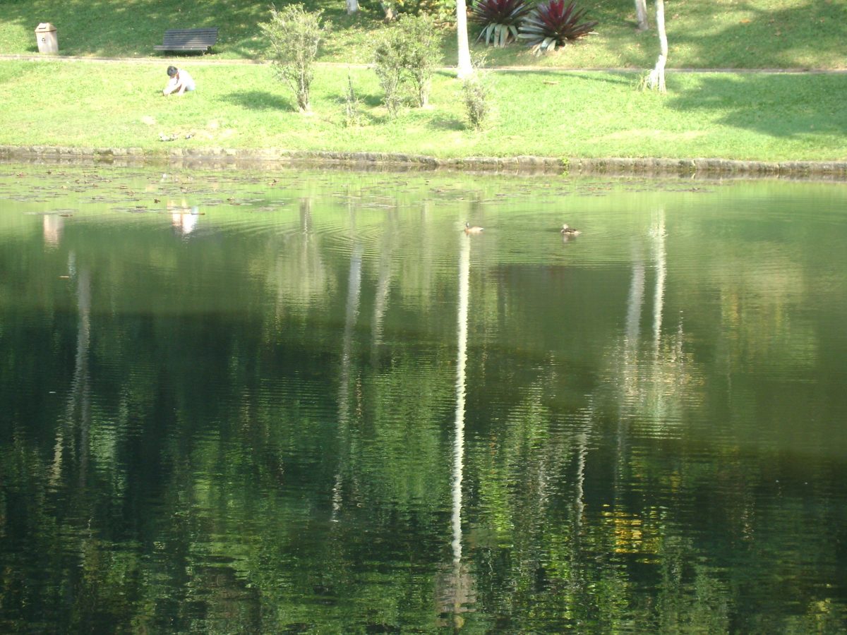 Jardim Botânico de São Paulo