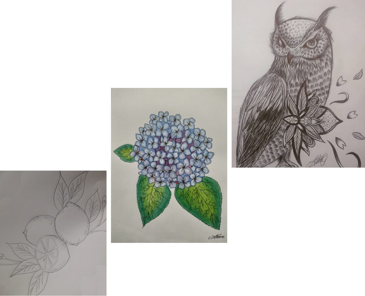 Aline Kawano: Expressando alegria vinda de Ponta Grossa – PR