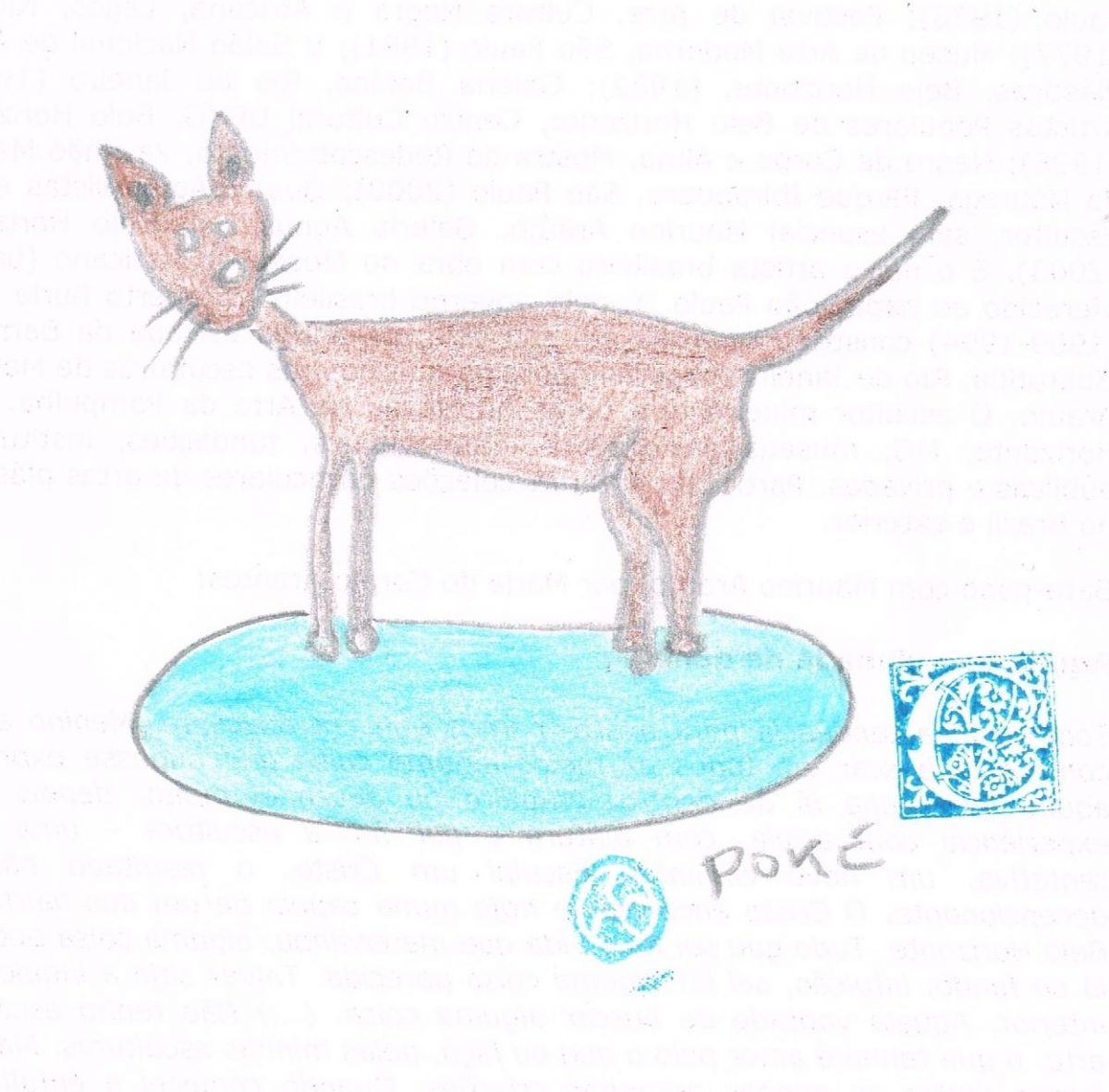Poke