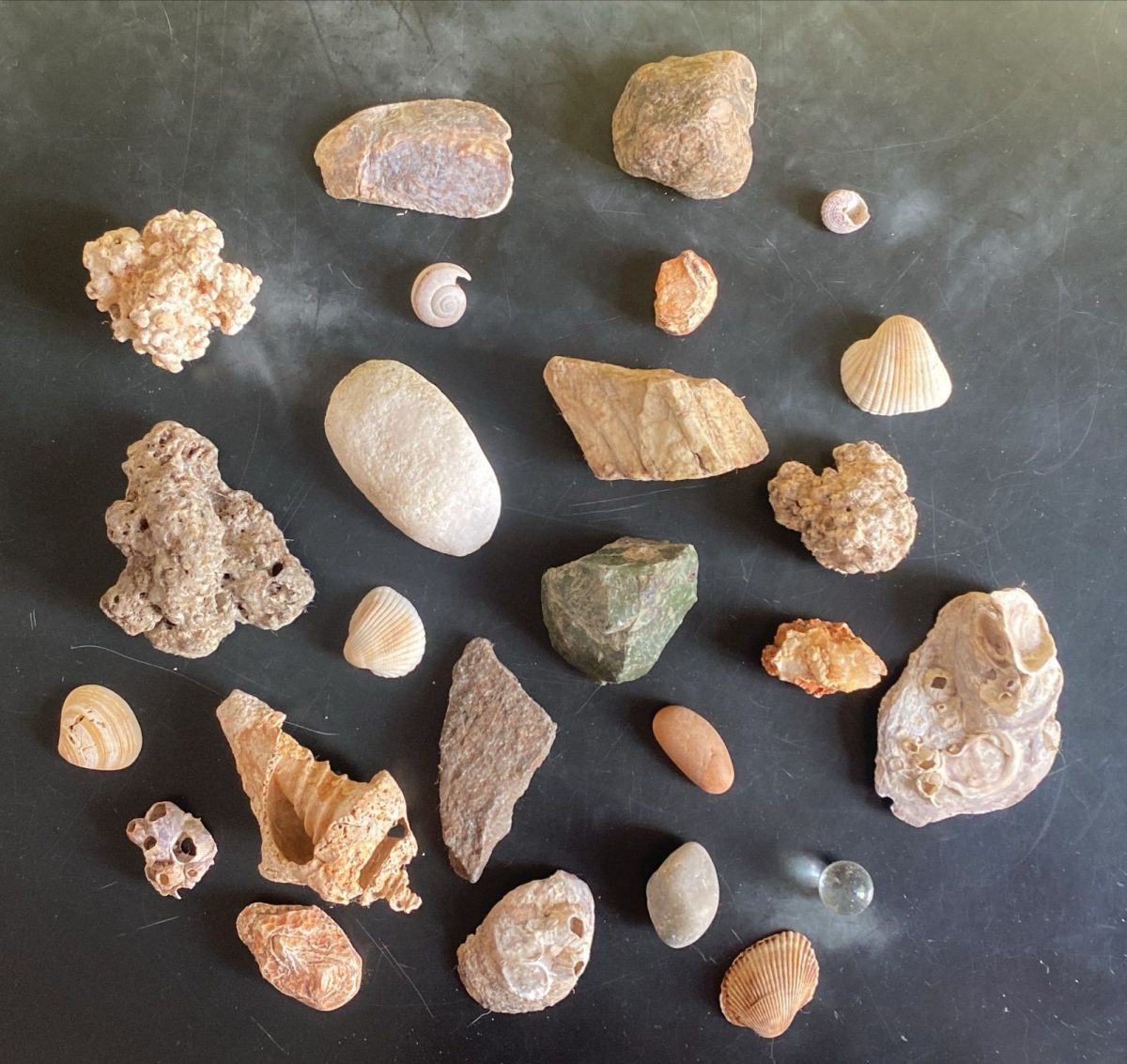 Pedras, corais, conchas e gude nossas