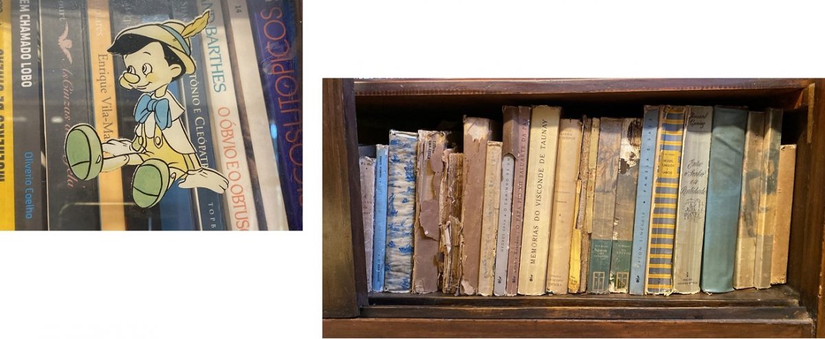 “Sempre imaginei o paraíso como uma espécie de biblioteca”